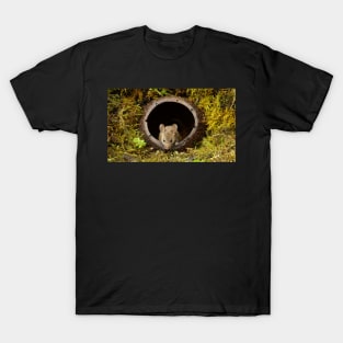 George the mouse in a log pile House - coconut shell house T-Shirt